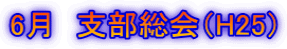 6月 支部総会(H25)